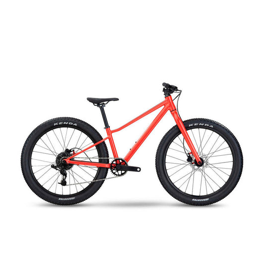 Bicicleta MTB Twostroke AL 24 2023