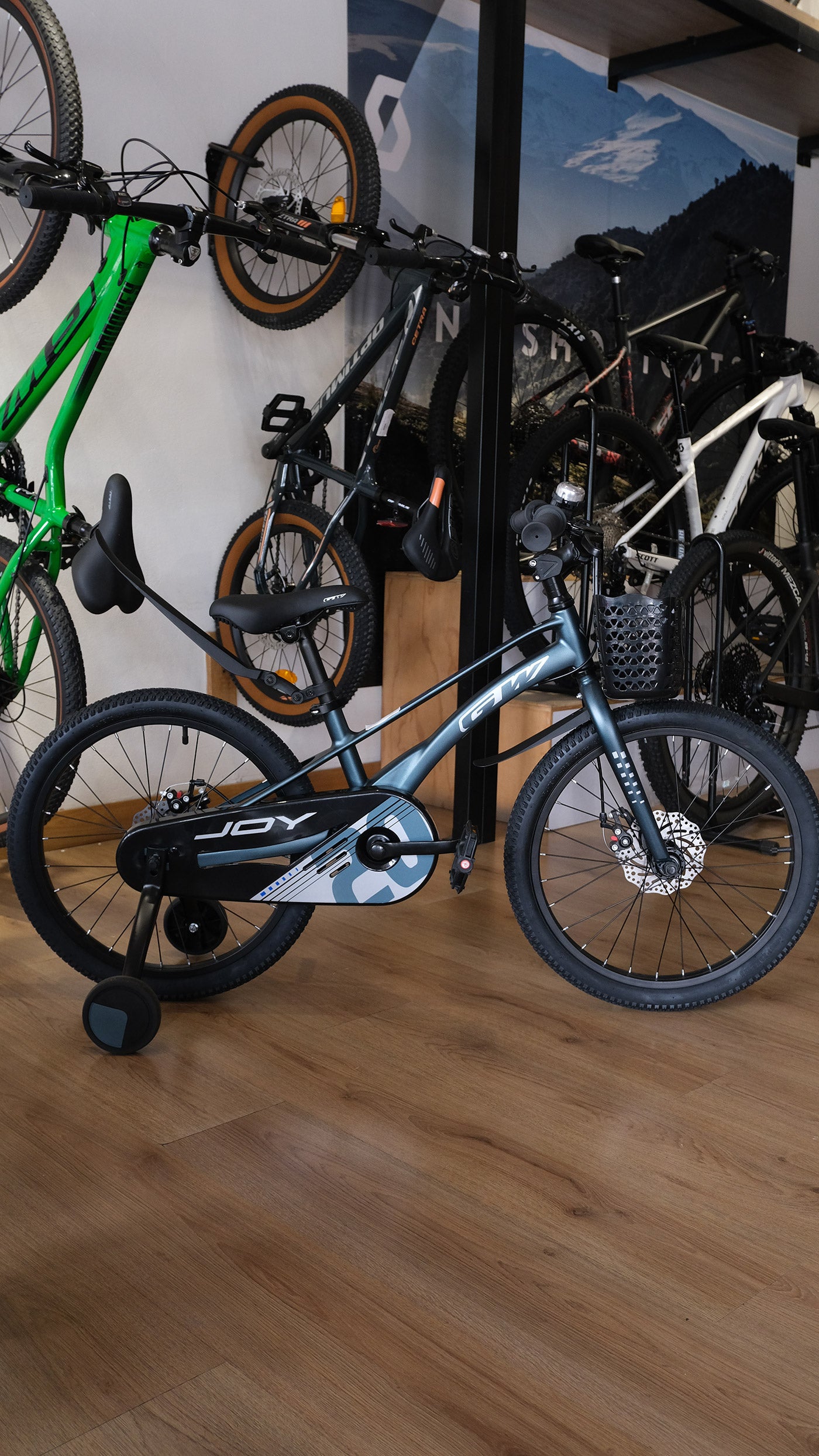BICICLETA GW JOY RIN 16